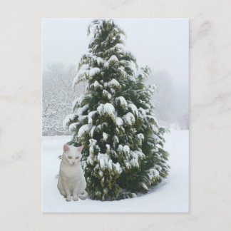 Cartes Pour Fêtes Annuelles Noël blanc