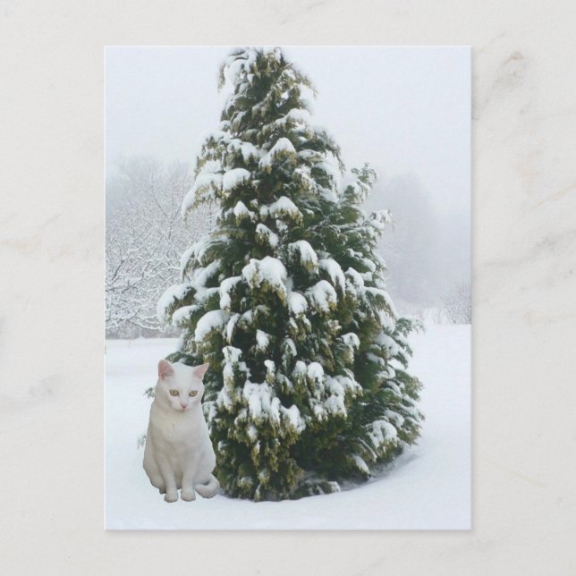 Cartes Pour Fêtes Annuelles Noël blanc (Devant)
