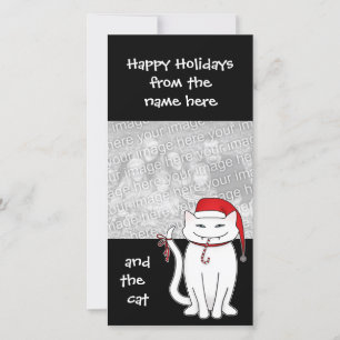 Cartes Pour Fêtes Annuelles Noël blanc bratty kitty famille de vacances