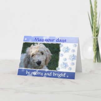 Cartes Pour Fêtes Annuelles Noël blanc de chien de griffonnage avec le vers