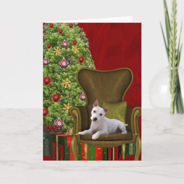 Cartes Pour Fêtes Annuelles Noël blanc de Jack Russell (Devant)