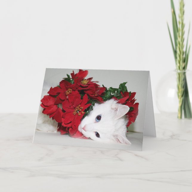 Cartes Pour Fêtes Annuelles Noël blanc de minou (Devant)