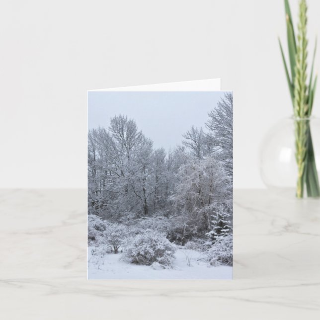 Cartes Pour Fêtes Annuelles Noël blanc hiver Windsor (Devant)