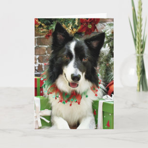 Cartes Pour Fêtes Annuelles Noël - border collie - Jessup