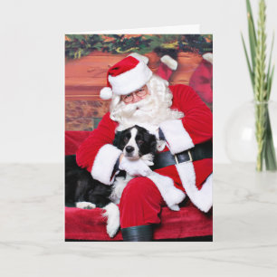 Cartes Pour Fêtes Annuelles Noël - Bordure Collie - Retourner