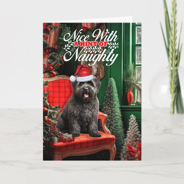 Cartes Pour Fêtes Annuelles Noël Bouvier des Flandres Chien Naughty ou Nice (Devant)