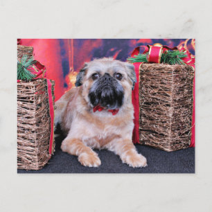 Cartes Pour Fêtes Annuelles Noël - Bruxelles Griffon - Oliver