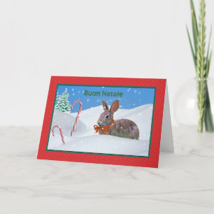 Cartes Pour Fêtes Annuelles Noël, Buon Natale, Italien, Lapin, Neige