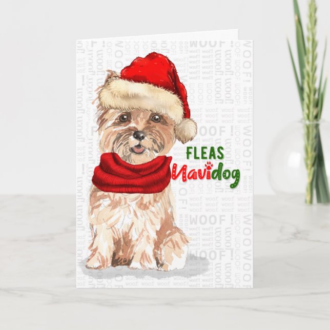Cartes Pour Fêtes Annuelles Noël Cairn Terrier Chien Fleas NaviDOG (Devant)