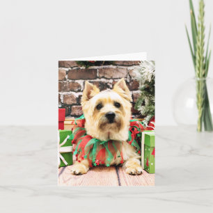 Cartes Pour Fêtes Annuelles Noël - Cairn Terrier - Lola
