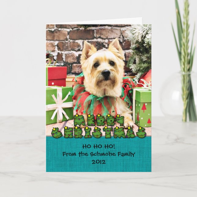 Cartes Pour Fêtes Annuelles Noël - Cairn Terrier - Lola (Devant)