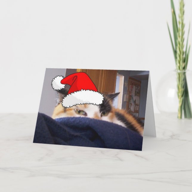 Cartes Pour Fêtes Annuelles Noël Calico (Devant)