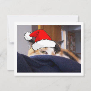 Cartes Pour Fêtes Annuelles Noël Calico