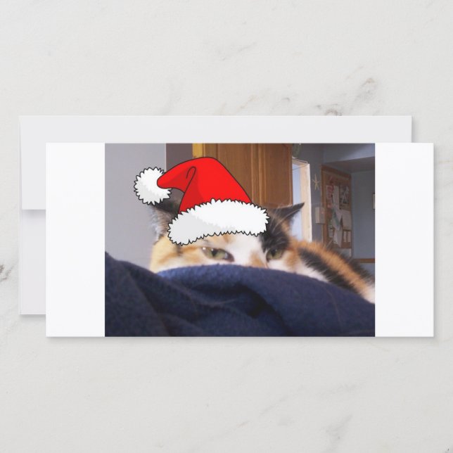 Cartes Pour Fêtes Annuelles Noël Calico (Devant)