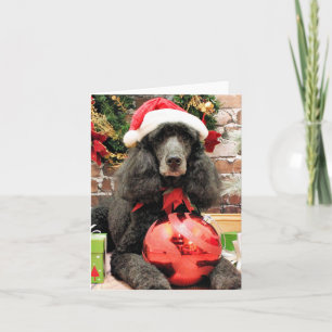 Cartes Pour Fêtes Annuelles Noël - caniche - lis