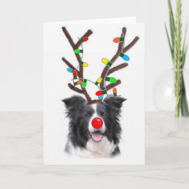 Cartes Pour Fêtes Annuelles Noël Card~Rudolph de border collie (Devant)