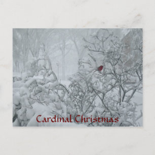 Cartes Pour Fêtes Annuelles Noël cardinal
