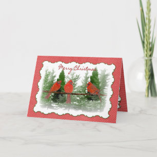 Cartes Pour Fêtes Annuelles Noël - Cardinaux rouges perchés sur la branche
