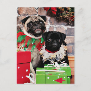 Cartes Pour Fêtes Annuelles Noël - Carlin - Daisy Mae et Lily Lou
