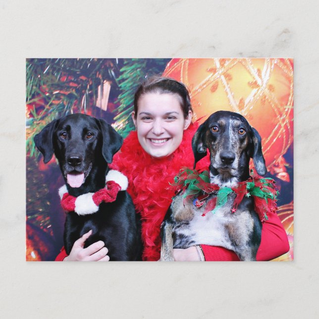 Cartes Pour Fêtes Annuelles Noël - Catahoula Brita et Labrador Cooper (Devant)