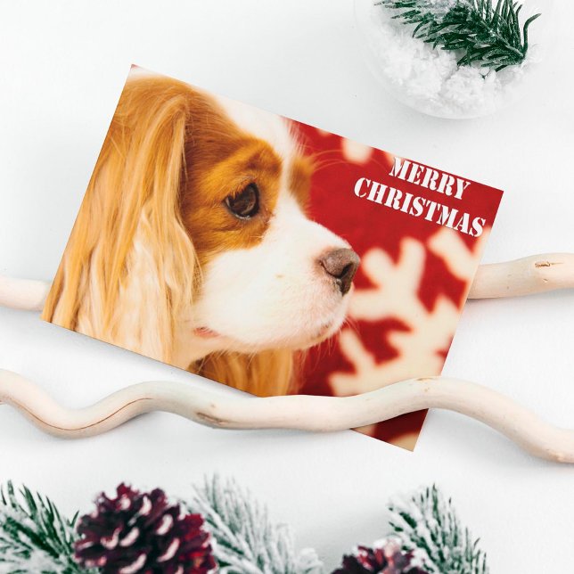 Cartes Pour Fêtes Annuelles Noël Cavalier King Charles Snowflake (Créateur téléchargé)