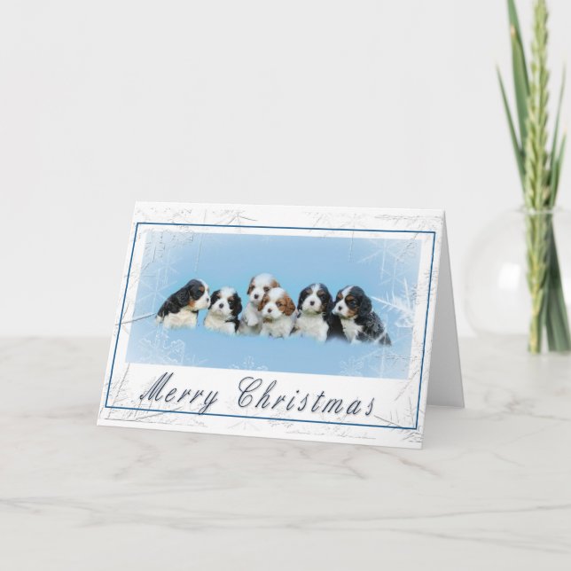 Cartes Pour Fêtes Annuelles Noël Cavalier King Charles Spaniel (Devant)