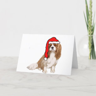 Cartes Pour Fêtes Annuelles Noël Cavalier King Charles Spaniel