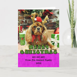 Cartes Pour Fêtes Annuelles Noël - Cavalier King Charles Spaniel - Meyers