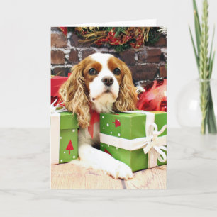 Cartes Pour Fêtes Annuelles Noël - Cavalier King Charles Spaniel - Poppy