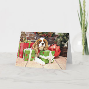 Cartes Pour Fêtes Annuelles Noël - Cavalier King Charles Spaniel - Poppy