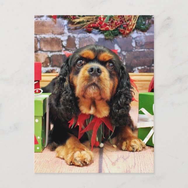 Cartes Pour Fêtes Annuelles Noël - Cavalier King Charles Spaniel SweetPea (Devant)