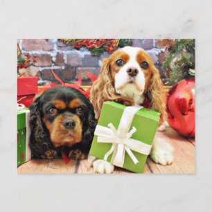 Cartes Pour Fêtes Annuelles Noël - Cavalier - Pois doux et pavot
