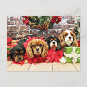 Cartes Pour Fêtes Annuelles Noël - cavalier - pois doux, lis, pavot rose