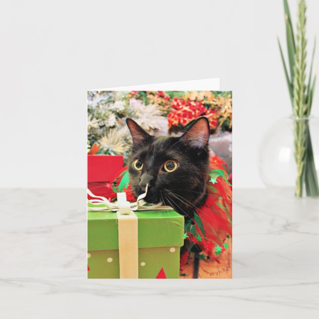 Cartes Pour Fêtes Annuelles Noël - Chat - Bentley (Devant)