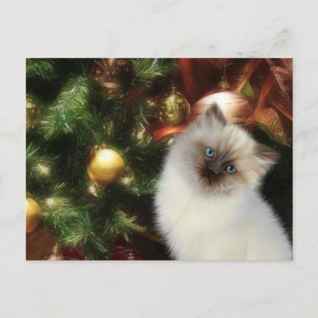 Cartes Pour Fêtes Annuelles Noël chaton de l'Himalaya (Devant)