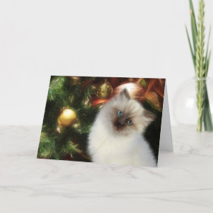 Cartes Pour Fêtes Annuelles Noël chaton de l'Himalaya