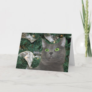Cartes Pour Fêtes Annuelles Noël chaton gris