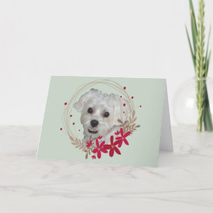 Cartes Pour Fêtes Annuelles Noël, Chien blanc de animal de compagnie