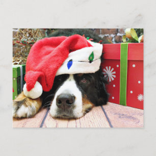 Cartes Pour Fêtes Annuelles Noël - Chien de Montagne - Mya