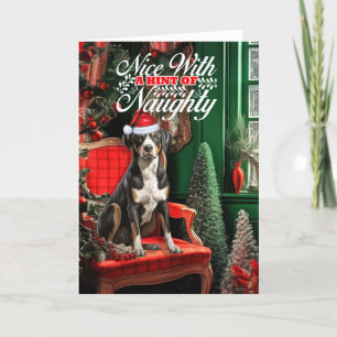 Cartes Pour Fêtes Annuelles Noël Chien de Montagne Suisse Naughty ou Nice