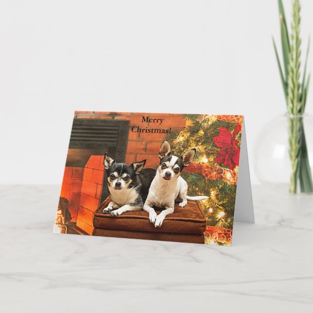Cartes Pour Fêtes Annuelles Noël Chihuahua (Devant)