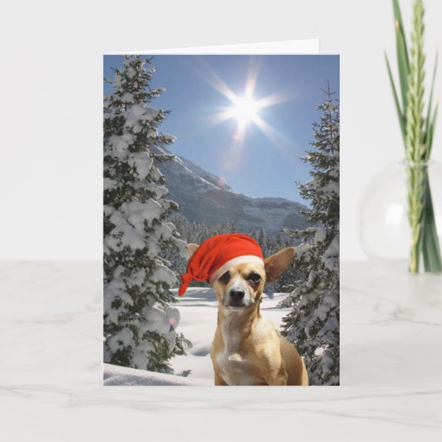 Cartes Pour Fêtes Annuelles Noël Chihuahua (Devant)