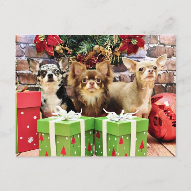Cartes Pour Fêtes Annuelles Noël - Chihuahua - Bleu - Précieux - Yogi (Devant)