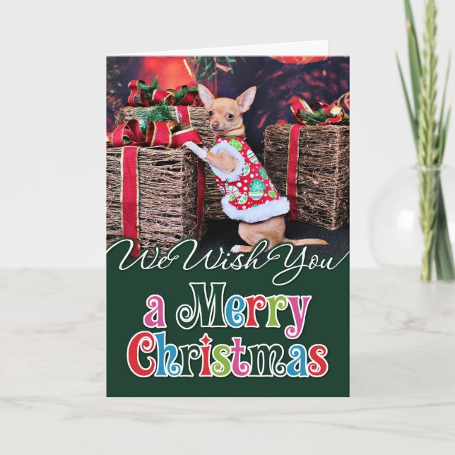 Cartes Pour Fêtes Annuelles Noël - Chihuahua - Matty (Devant)