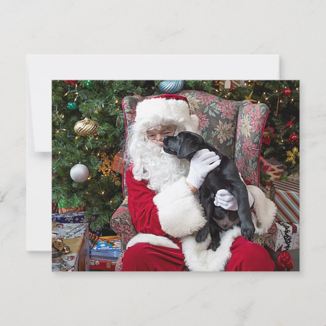 Cartes Pour Fêtes Annuelles Noël Chiot Santa Claus Black Labrador (Devant)