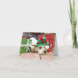 Cartes Pour Fêtes Annuelles Noël - Cockapoo - kc