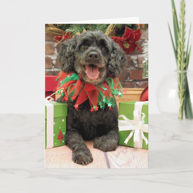 Cartes Pour Fêtes Annuelles Noël - Cockapoo - rocheux (Devant)
