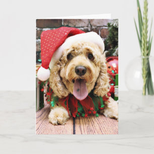 Cartes Pour Fêtes Annuelles Noël - Cockapoo - Sadie