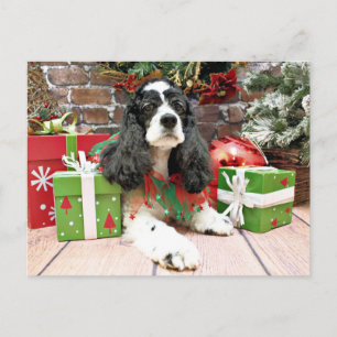 Cartes Pour Fêtes Annuelles Noël - Cocker Spaniel - Laci
