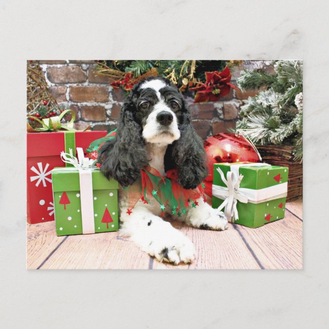 Cartes Pour Fêtes Annuelles Noël - Cocker Spaniel - Laci (Devant)